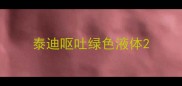 泰迪呕吐绿色液体