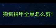 狗狗指甲全黑怎么剪