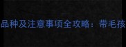宠物旅游合规品种及注意事项全攻略带毛孩出游必看指南