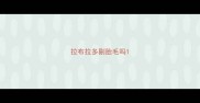 拉布拉多剔胎毛吗