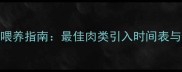 松狮幼犬科学喂养指南最佳肉类引入时间表与营养配比详解