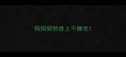狗狗突然晚上不睡觉