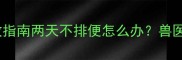 拉布拉多便秘急救指南两天不排便怎么办兽医详解5大处理步骤