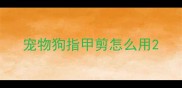 宠物狗指甲剪怎么用