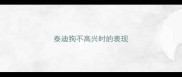 泰迪狗不高兴时的表现