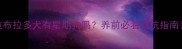 拉布拉多犬有星期狗吗养前必看避坑指南