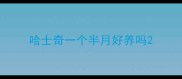 哈士奇一个半月好养吗