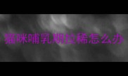 猫咪哺乳期拉稀怎么办