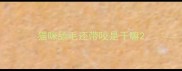 猫咪舔毛还带咬是干嘛