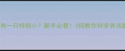 一窝小狗有一只特别小新手必看3招教你科学养活脆弱幼犬