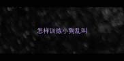 怎样训练小狗乱叫