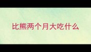 比熊两个月大吃什么