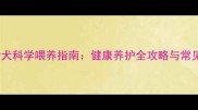 拉布拉多幼犬科学喂养指南健康养护全攻略与常见问题解答