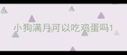 小狗满月可以吃鸡蛋吗