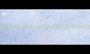 哈士奇皮肤细菌超标科学清洁护理指南如何预防皮肤感染与疾病