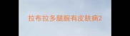 拉布拉多腿腕有皮肤病