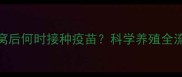 小貂分窝后何时接种疫苗科学养殖全流程指南