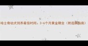 哈士奇幼犬饲养最佳时间3-6个月黄金期全附选购指南