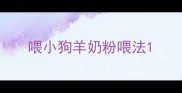 喂小狗羊奶粉喂法