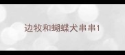 边牧和蝴蝶犬串串