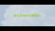 绥化宠物医院哪家好
