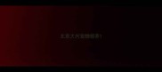 北京大兴宠物领养