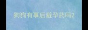 狗狗有事后避孕药吗