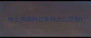 哈士奇跟阿拉斯的犬么区别