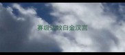 赛级边牧白金汉宫
