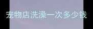 宠物店洗澡一次多少钱