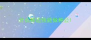 什么样边牧能做种公