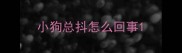 小狗总抖怎么回事