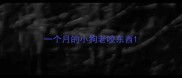 一个月的小狗老咬东西