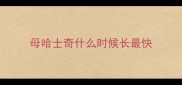 母哈士奇什么时候长最快