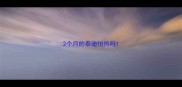 2个月的泰迪怕热吗