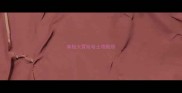 南极大冒险哈士奇剧照