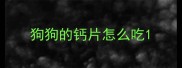 狗狗的钙片怎么吃