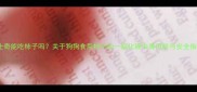 哈士奇能吃柿子吗关于狗狗食用柿子的一氧化碳中毒风险与安全指南