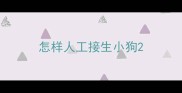 怎样人工接生小狗