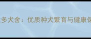 北京飞翼拉布拉多犬舍优质种犬繁育与健康保障一站式服务