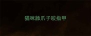 猫咪舔爪子咬指甲