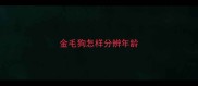 金毛狗怎样分辨年龄