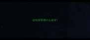边牧感冒喂什么症状