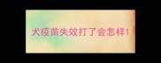 犬疫苗失效打了会怎样