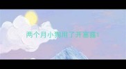 两个月小狗用了开塞露