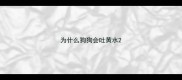 为什么狗狗会吐黄水