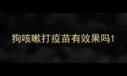 狗咳嗽打疫苗有效果吗