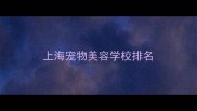 上海宠物美容学校排名
