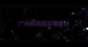 广州狗狗疫苗哪里好