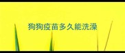 狗狗疫苗多久能洗澡